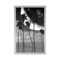 POSTER SUNSET OVER TROPICAL PALM TREES IN BLACK AND WHITE - BLACK AND WHITE - POSTERS