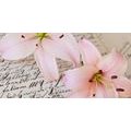 CANVAS PRINT LILY ON AN OLD DOCUMENT - STILL LIFE PICTURES{% if product.category.pathNames[0] != product.category.name %} - PICTURES{% endif %}