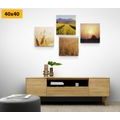 CANVAS PRINT SET MAGIC OF NATURE - SET OF PICTURES - PICTURES