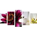 5-TEILIGES WANDBILD BLUMEN IN EINER SCHALE - BILDER BLUMEN - BILDER