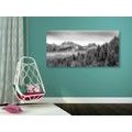 CANVAS PRINT FROZEN MOUNTAINS IN BLACK AND WHITE - BLACK AND WHITE PICTURES - PICTURES