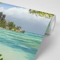 WALL MURAL BEAUTIFUL BEACH ON THE ISLAND OF LA DIGUE - WALLPAPERS NATURE - WALLPAPERS