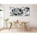 5-PIECE CANVAS PRINT PEONIES IN BLACK AND WHITE - BLACK AND WHITE PICTURES - PICTURES