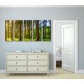 5-PIECE CANVAS PRINT SUNNY MORNING IN THE FOREST - PICTURES OF NATURE AND LANDSCAPE - PICTURES