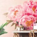 WALLPAPER GENTLE PEONY - WALLPAPERS FLOWERS - WALLPAPERS