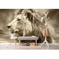 WALLPAPER AFRICAN LION IN SEPIA - BLACK AND WHITE WALLPAPERS - WALLPAPERS