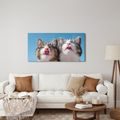 OBRAZ ROZVERNÉ KOČIČÍ DUO V DETAILU - OBRAZY KOČKY - OBRAZY