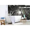 WALL MURAL BLACK AND WHITE FIELD GRASS - BLACK AND WHITE WALLPAPERS - WALLPAPERS