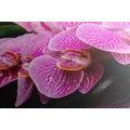 TABLEAU SUR TOILE – COMPOSITION ZEN AVEC DES BOUGIES - TABLEAUX FENG SHUI - TABLEAUX