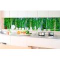 SELF ADHESIVE PHOTO WALLPAPER FOR KITCHEN BIRCH GROVE - WALLPAPERS{% if product.category.pathNames[0] != product.category.name %} - WALLPAPERS{% endif %}