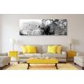 CANVAS PRINT GRAPHIC PAINTING IN BLACK AND WHITE - BLACK AND WHITE PICTURES - PICTURES