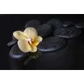 CARTA DA PARATI ZEN PIETRE CON UN'ORCHIDEA GIALLA - CARTA DA PARATI FENG SHUI - CARTA DA PARATI