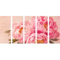 5-PIECE CANVAS PRINT GENTLE PEONY - VINTAGE AND RETRO PICTURES - PICTURES