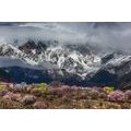 QUADRO PAESAGGIO DI MONTAGNA UNICO - QUADRI DI NATURA E PAESAGGIO - QUADRI