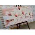 CANVAS PRINT LUXURIOUS MAGNOLIA WITH PEARLS - PICTURES FLOWERS - PICTURES