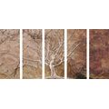 IMPRESSION SUR TOILE EN 5 PARTIES COURONNE D'ARBRE - IMPRESSIONS SUR TOILE ARBRES ET FEUILLES - IMPRESSION SUR TOILE