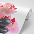 CARTA DA PARATI PIETRE E UN'ORCHIDEA - CARTA DA PARATI FENG SHUI - CARTA DA PARATI