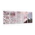 5-PIECE CANVAS PRINT ABSTRACTION IN SOFT TONES - ABSTRACT PICTURES - PICTURES