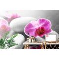 WALL MURAL ORCHID FLOWERS ON STONES - WALLPAPERS FENG SHUI - WALLPAPERS