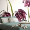 WALL MURAL CHECKERBOARD FLOWER - WALLPAPERS FLOWERS - WALLPAPERS