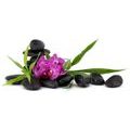 TAPETE LILA ORCHIDEE IM ZEN-STILLLEBEN - TAPETEN MIT FENG SHUI-MOTIVEN - TAPETEN