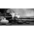 CANVAS PRINT FENG SHUI STILL LIFE IN BLACK AND WHITE - BLACK AND WHITE PICTURES - PICTURES