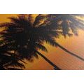 CANVAS PRINT SUNSET OVER PALM TREES - PICTURES OF NATURE AND LANDSCAPE - PICTURES