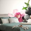 WALL MURAL ZEN STILL LIFE - WALLPAPERS FENG SHUI - WALLPAPERS