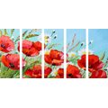 QUADRO IN 5 PARTI DI UN PAPAVERO ROSSO IN UN CAMPO - QUADRI DI FIORI - QUADRI