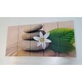 5-PIECE CANVAS PRINT WHITE FLOWER AND STONES IN SAND - PICTURES FENG SHUI - PICTURES