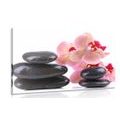 PICTURE SPA STONES AND ORCHID - PICTURES FENG SHUI{% if kategorie.adresa_nazvy[0] != zbozi.kategorie.nazev %} - PICTURES{% endif %}