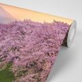 SELF ADHESIVE WALL MURAL BEAUTIFUL JAPAN - SELF-ADHESIVE WALLPAPERS - WALLPAPERS