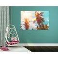 TABLEAU SUR TOILE – RAYONS DE SOLEIL ENTRE LES PALMIERS - TABLEAUX DE LA NATURE ET DES PAYSAGES - TABLEAUX