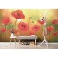 SELF ADHESIVE WALLPAPER POPPIES IN BRIGHT LIGHT - SELF-ADHESIVE WALLPAPERS - WALLPAPERS