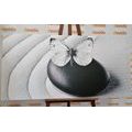 CANVAS PRINT ZEN STONE WITH A BUTTERFLY IN BLACK AND WHITE - BLACK AND WHITE PICTURES - PICTURES