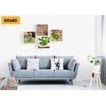 CANVAS PRINT SET FENG SHUI WITH ELEMENTS OF NATURE - SET OF PICTURES - PICTURES
