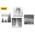 CANVAS PRINT SET WOLF IN A MYSTERIOUS FOREST IN BLACK AND WHITE - SET OF PICTURES - PICTURES