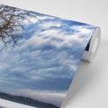 WALL MURAL TREES IN THE WINTER - WALLPAPERS NATURE - WALLPAPERS