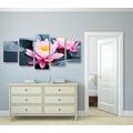 5-PIECE CANVAS PRINT LOTUS FLOWER IN A LAKE - PICTURES FENG SHUI - PICTURES