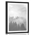 AFFICHE AVEC MONTURE BROUILLARD SUR LA FORÊT EN NOIR ET BLANC - NOIR ET BLANC - AFFICHES