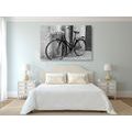 CANVAS PRINT RUSTIC BICYCLE IN BLACK AND WHITE - BLACK AND WHITE PICTURES - PICTURES