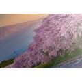 CANVAS PRINT JAPANESE FUJI VOLCANO - PICTURES OF NATURE AND LANDSCAPE - PICTURES