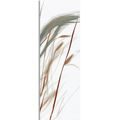 WANDBILD WEHENDE GRASHALME - BILDER VON GRASHALMEN - BILDER
