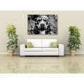 CANVAS PRINT ILLUSTRATION OF A DOG IN BLACK AND WHITE - BLACK AND WHITE PICTURES - PICTURES