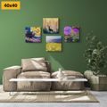 CANVAS PRINT SET IMITATION OF AN OIL PAINTING OF A DEER IN THE NATURE - SET OF PICTURES - PICTURES