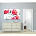 CANVAS PRINT UNIQUE POPPY FLOWERS - PICTURES FLOWERS - PICTURES