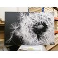 CANVAS PRINT DANDELION SEEDS IN BLACK AND WHITE - BLACK AND WHITE PICTURES{% if product.category.pathNames[0] != product.category.name %} - PICTURES{% endif %}