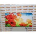 CANVAS PRINT POPPIES IN THE MEADOW - PICTURES FLOWERS - PICTURES