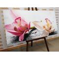 CANVAS PRINT ORCHID FLOWERS - PICTURES FLOWERS - PICTURES