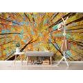 SELBSTKLEBENDE FOTOTAPETE HERBSTLICHE BAUMKRONEN - SELBSTKLEBENDE TAPETEN - TAPETEN